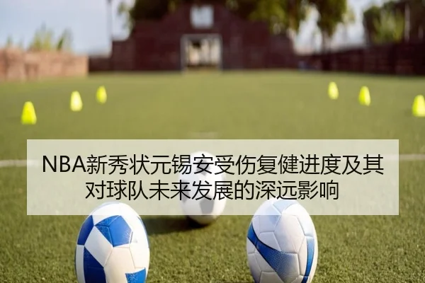 NBA新秀状元锡安受伤复健进度及其对球队未来发展的深远影响